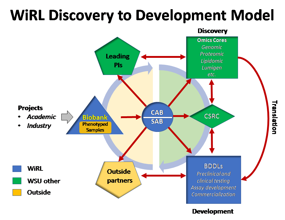 WiRL Discovery to Development Model diagram