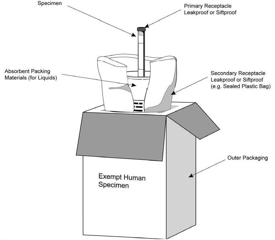 Example of Packing and Marking for Exempt Specimens