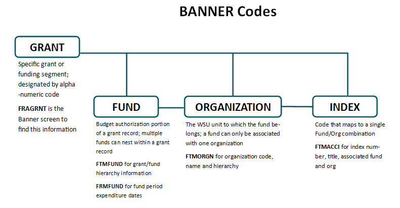 BANNER Codes chart